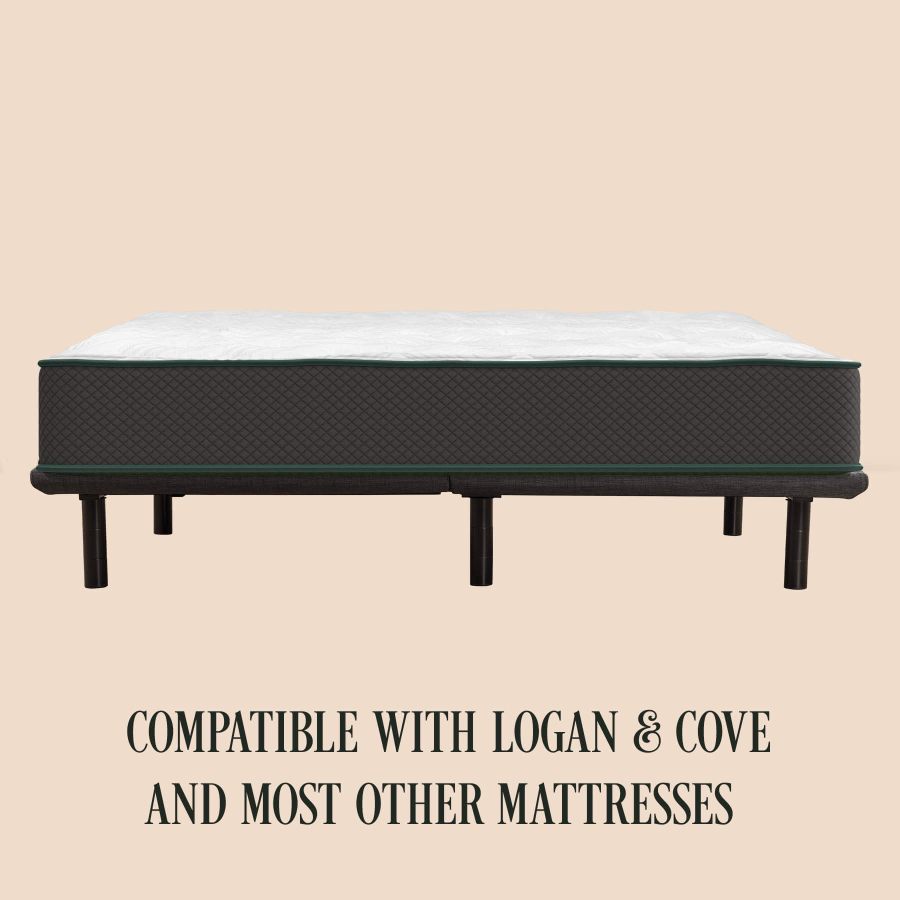 Adjustable Bed - Image 4