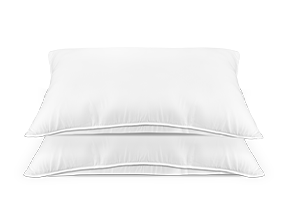 2 oreillers de première*