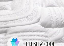 Plush & Cool