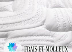 Frais et molleux