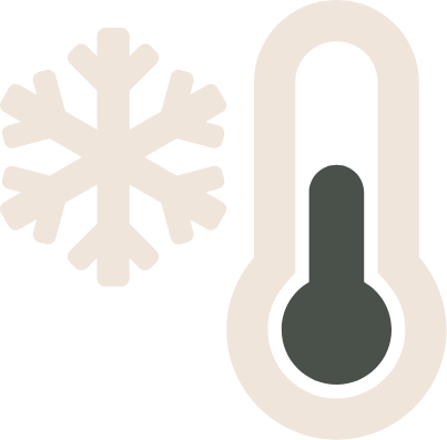Thermometer and snowflake icon