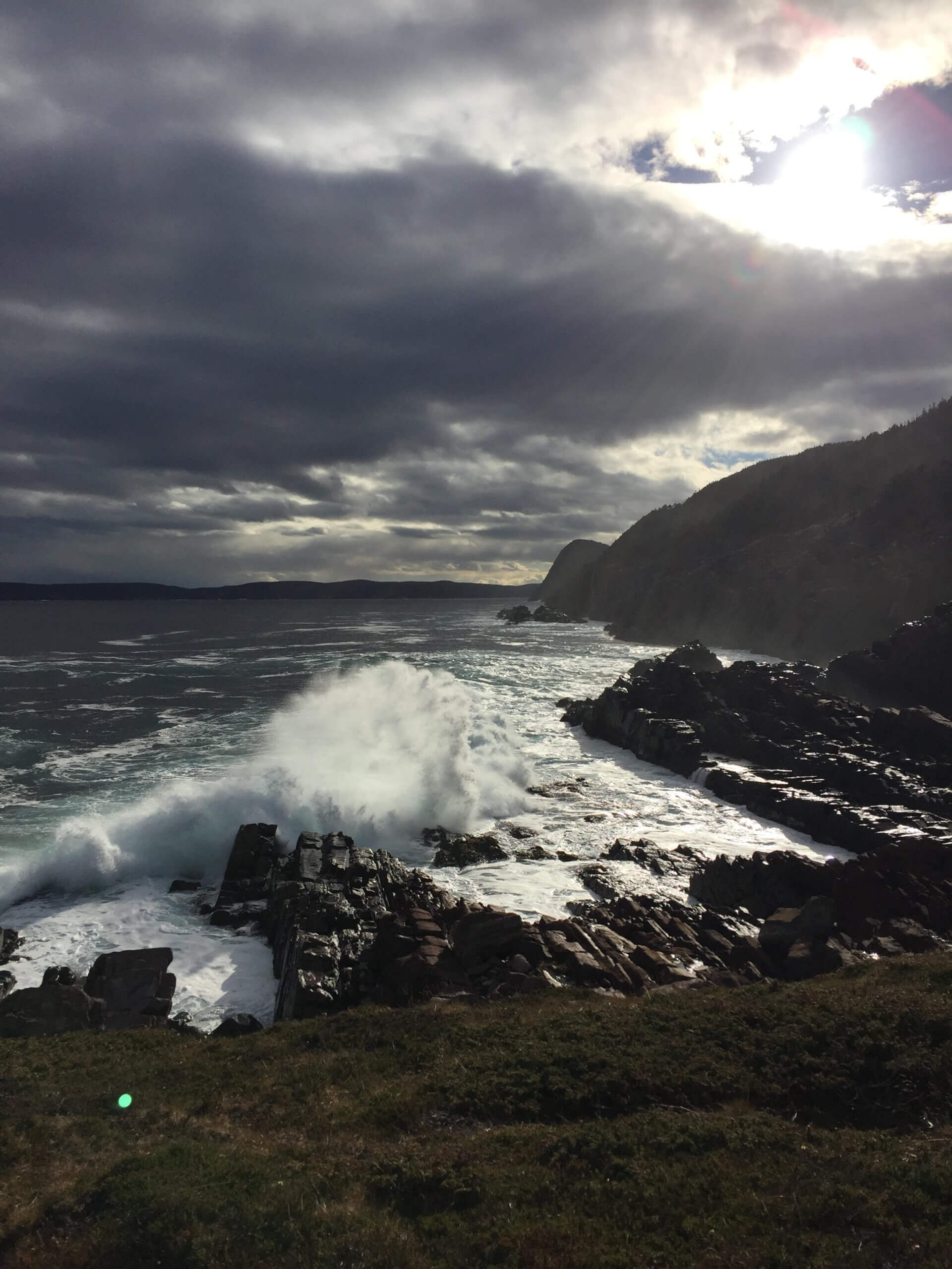 View of the Canadian coastline near St. John's, Newfoundland